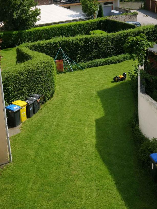 Gemeinschaftsgarten
